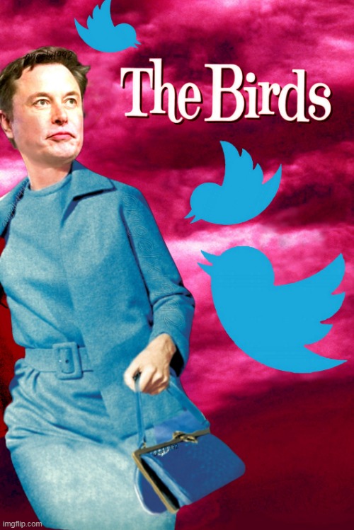 image tagged in the birds,elon musk,horror movie,alfred hitchcock,twitter,tweets | made w/ Imgflip meme maker