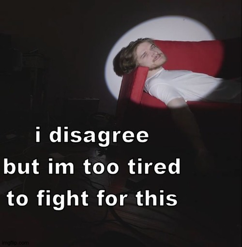 im too tired to fight | image tagged in im too tired to fight | made w/ Imgflip meme maker