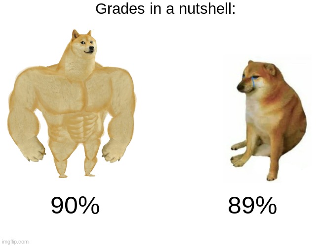 Why tho | Grades in a nutshell:; 90%; 89% | image tagged in memes,buff doge vs cheems,school grades,school,relatable | made w/ Imgflip meme maker