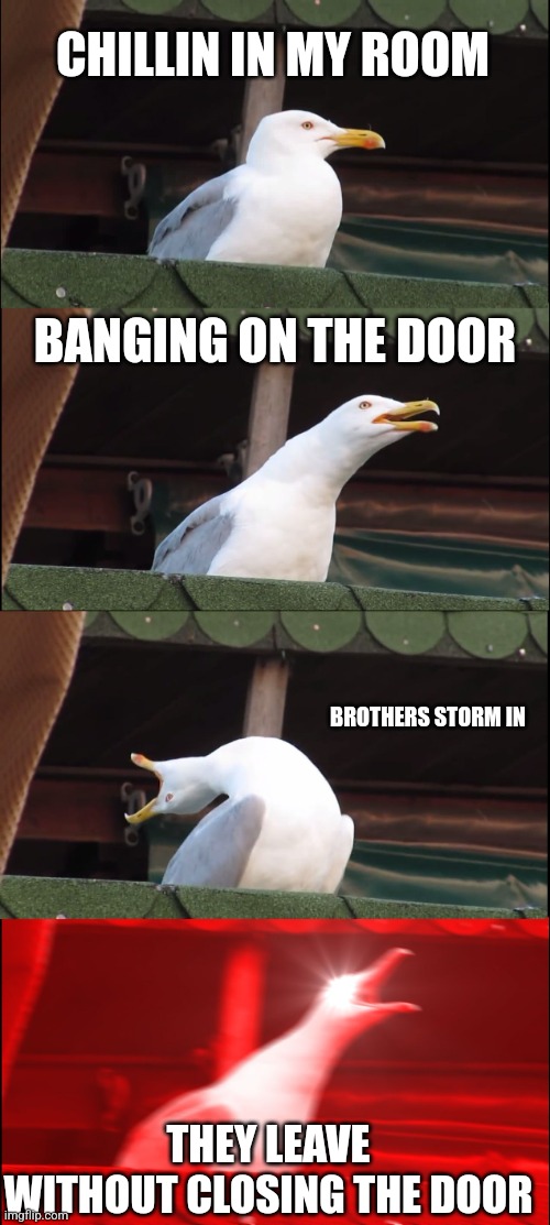True | CHILLIN IN MY ROOM; BANGING ON THE DOOR; BROTHERS STORM IN; THEY LEAVE WITHOUT CLOSING THE DOOR | image tagged in memes,inhaling seagull,brothers,siblings,middle school | made w/ Imgflip meme maker