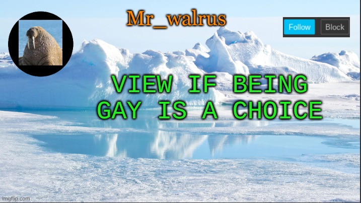 Mr_walrus | VIEW IF BEING GAY IS A CHOICE | image tagged in mr_walrus | made w/ Imgflip meme maker