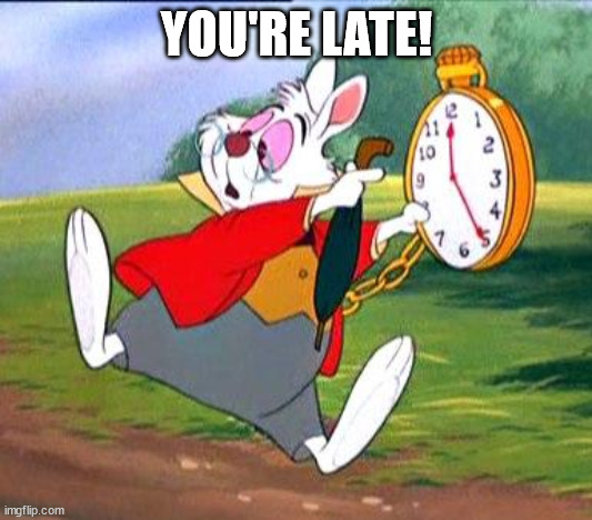 White Rabbit "I'm late!" | YOU'RE LATE! | image tagged in white rabbit i'm late | made w/ Imgflip meme maker