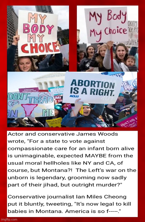 They just can’t see past their ideology — it’s not THEIR Body | image tagged in memes,killing a baby in the womb is not enough,now they want to kill a newborn living child,no slippery slope,only 1st 3 months | made w/ Imgflip meme maker