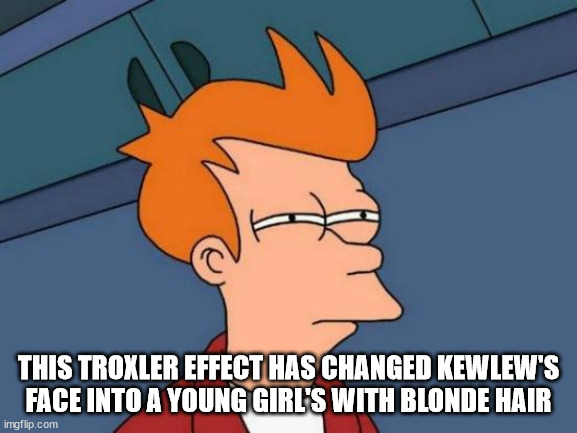 Futurama Fry Meme | THIS TROXLER EFFECT HAS CHANGED KEWLEW'S FACE INTO A YOUNG GIRL'S WITH BLONDE HAIR | image tagged in memes,futurama fry | made w/ Imgflip meme maker