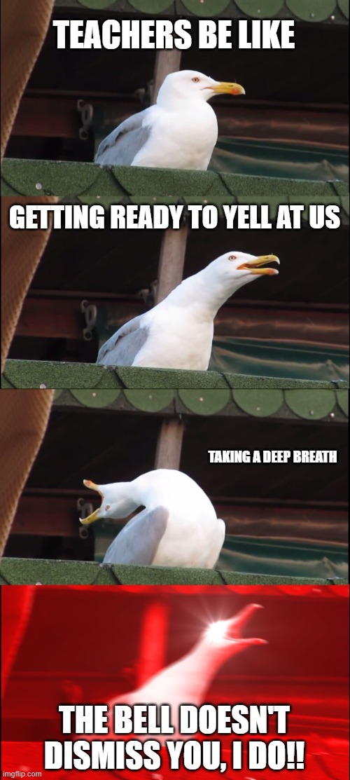 teachers be like | TEACHERS BE LIKE; GETTING READY TO YELL AT US; TAKING A DEEP BREATH; THE BELL DOESN'T DISMISS YOU, I DO!! | image tagged in memes,inhaling seagull | made w/ Imgflip meme maker