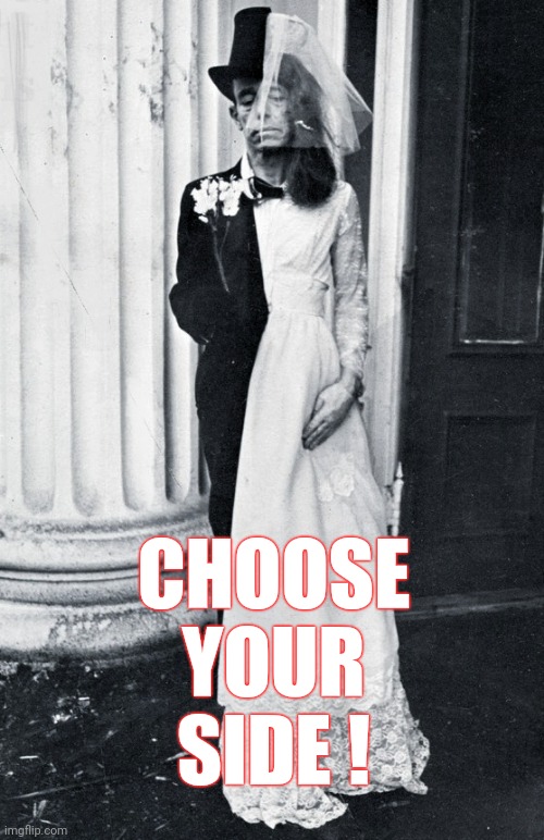 Choose your side! | CHOOSE
YOUR
SIDE ! | image tagged in bride/groom | made w/ Imgflip meme maker
