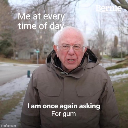 Need gum | Me at every time of day; For gum | image tagged in memes,bernie i am once again asking for your support | made w/ Imgflip meme maker