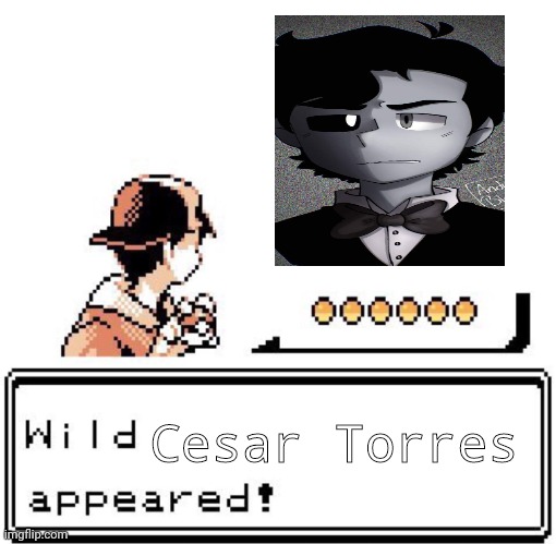 I CAN FINALLY COMPLETE MY MANDELA POKEDEX! | Cesar Torres | image tagged in blank wild pokemon appears | made w/ Imgflip meme maker