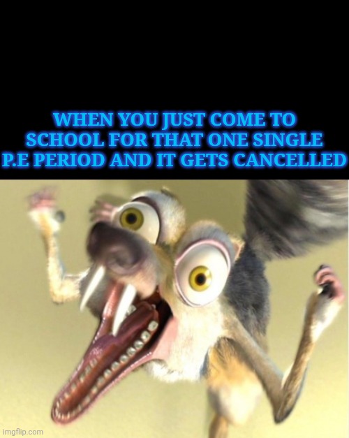 Overreacting Squirrel | WHEN YOU JUST COME TO SCHOOL FOR THAT ONE SINGLE P.E PERIOD AND IT GETS CANCELLED | image tagged in overreacting squirrel | made w/ Imgflip meme maker