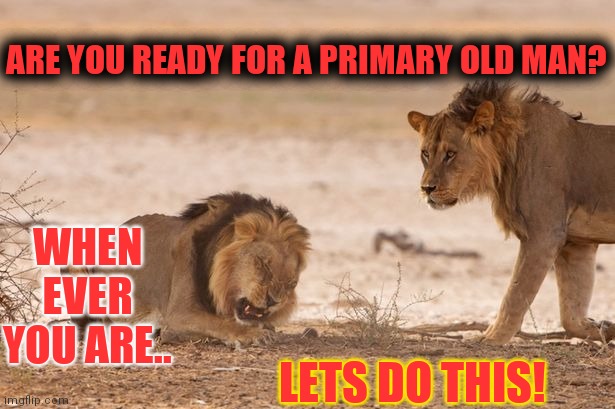 There Can Be Only One | ARE YOU READY FOR A PRIMARY OLD MAN? WHEN EVER YOU ARE.. LETS DO THIS! | image tagged in old lion/ young lion,trump,desantis,may the force be with you,representative,republic | made w/ Imgflip meme maker