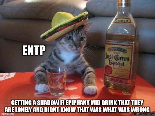 Shadow Fi Problems | ENTP; GETTING A SHADOW FI EPIPHANY MID DRINK THAT THEY
ARE LONELY AND DIDNT KNOW THAT WAS WHAT WAS WRONG | image tagged in party cat,entp,mbti,myers briggs,memes,personality | made w/ Imgflip meme maker