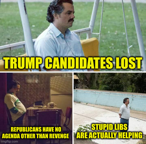 Libs: better at the economy, crime, healthcare, bringing down the deficit, personal rights...the list goes on | TRUMP CANDIDATES LOST; REPUBLICANS HAVE NO AGENDA OTHER THAN REVENGE; STUPID LIBS ARE ACTUALLY HELPING | image tagged in memes,sad pablo escobar | made w/ Imgflip meme maker