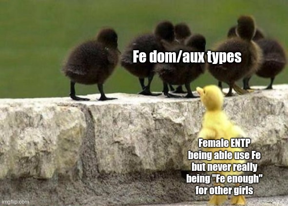 Female ENTP Pain | Fe dom/aux types; Female ENTP
being able use Fe
but never really
being "Fe enough"
for other girls | image tagged in left out duck,mbti,myers briggs,entp,personality,fe | made w/ Imgflip meme maker