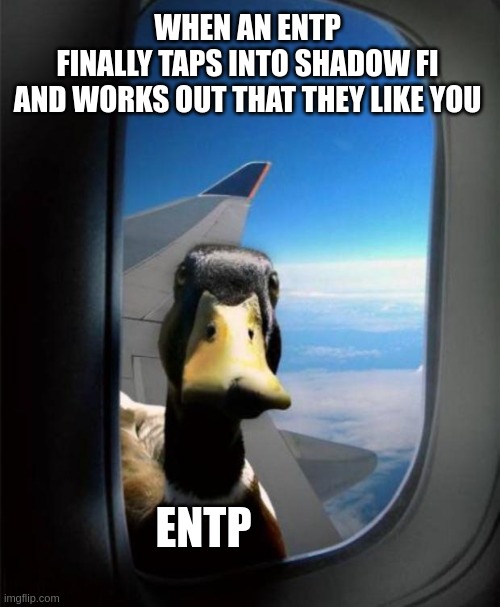 ENTP's Annoying Love | WHEN AN ENTP
FINALLY TAPS INTO SHADOW FI
AND WORKS OUT THAT THEY LIKE YOU; ENTP | image tagged in duck on plane wing,entp,dating,mbti,myers briggs,personality | made w/ Imgflip meme maker