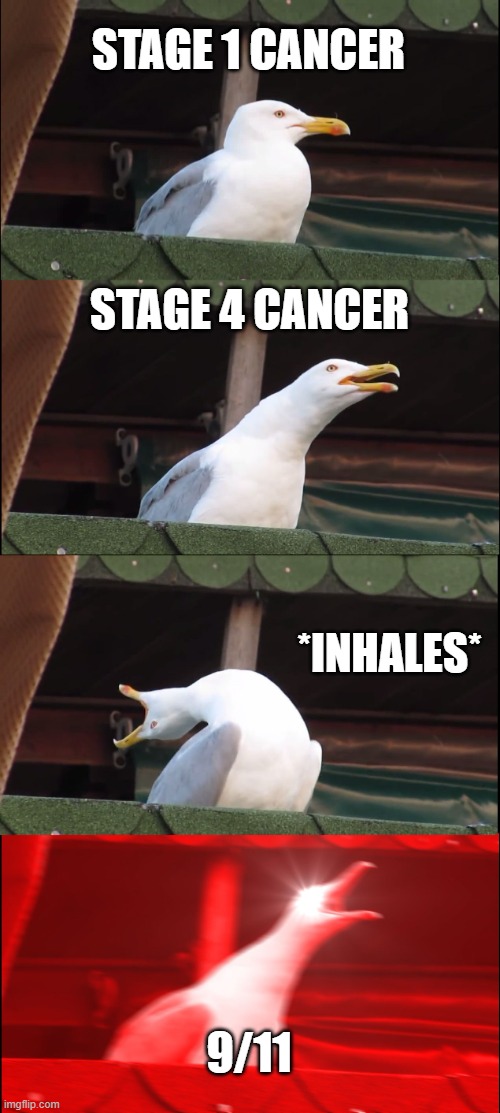 :) | STAGE 1 CANCER; STAGE 4 CANCER; *INHALES*; 9/11 | image tagged in memes,inhaling seagull | made w/ Imgflip meme maker