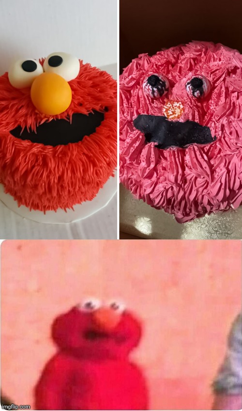 Elmo fail on the right | image tagged in sickened elmo,you had one job,memes,elmo,cake,expectation vs reality | made w/ Imgflip meme maker
