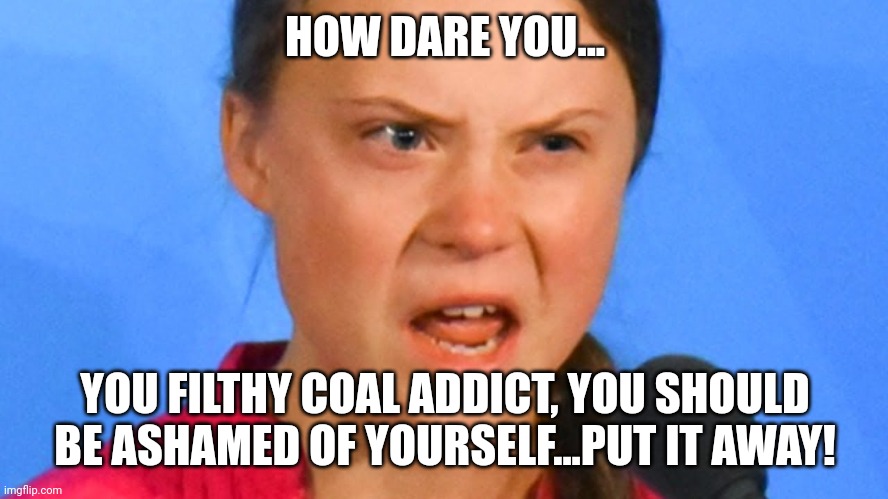 HOW DARE YOU... YOU FILTHY COAL ADDICT, YOU SHOULD BE ASHAMED OF YOURSELF...PUT IT AWAY! | made w/ Imgflip meme maker