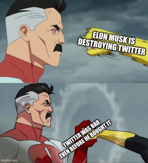 True story | ELON MUSK IS DESTROYING TWITTER; TWITTER WAS BAD EVEN BEFORE HE BOUGHT IT | image tagged in man stopping punch,memes,funny | made w/ Imgflip meme maker