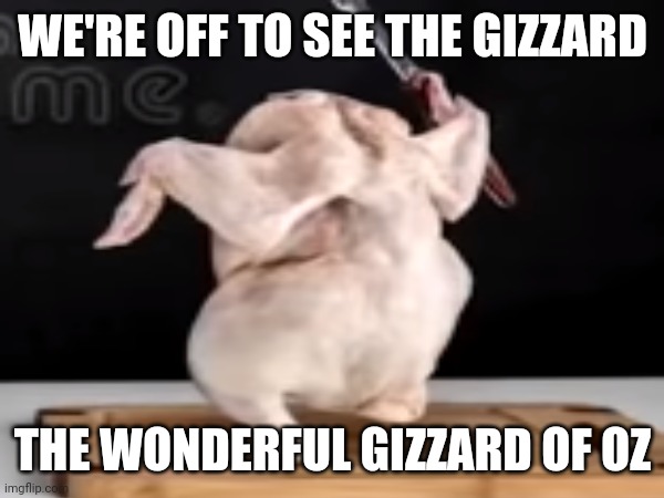 Dead bird | WE'RE OFF TO SEE THE GIZZARD; THE WONDERFUL GIZZARD OF OZ | image tagged in dead chicken,wizard of oz | made w/ Imgflip meme maker