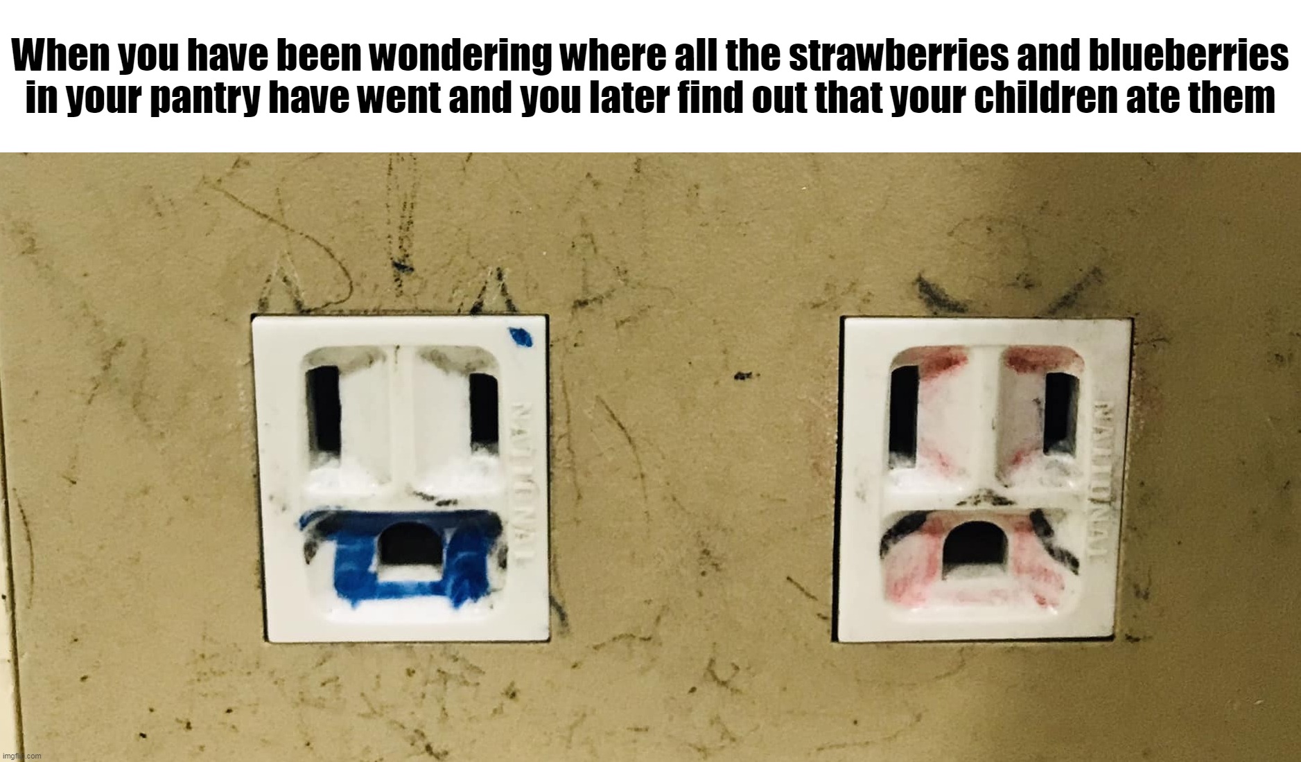 When you have been wondering where all the strawberries and blueberries in your pantry have went and you later find out that your children ate them | image tagged in meme,memes,humor,funny | made w/ Imgflip meme maker