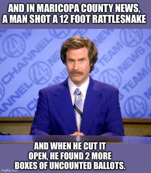 Ballot counting | AND IN MARICOPA COUNTY NEWS, A MAN SHOT A 12 FOOT RATTLESNAKE; AND WHEN HE CUT IT OPEN, HE FOUND 2 MORE BOXES OF UNCOUNTED BALLOTS. | image tagged in this just in | made w/ Imgflip meme maker