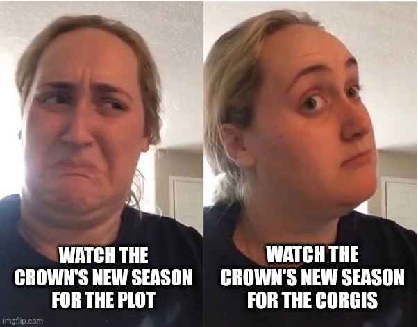 New season of the crown | WATCH THE CROWN'S NEW SEASON
FOR THE CORGIS; WATCH THE CROWN'S NEW SEASON
FOR THE PLOT | image tagged in hmmm | made w/ Imgflip meme maker