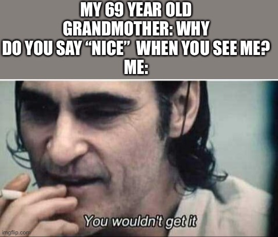 I get it | MY 69 YEAR OLD GRANDMOTHER: WHY DO YOU SAY “NICE”  WHEN YOU SEE ME?
ME: | image tagged in you wouldn't get it,memes,funny | made w/ Imgflip meme maker