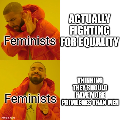 ... | ACTUALLY FIGHTING FOR EQUALITY; Feminists; THINKING THEY SHOULD HAVE MORE PRIVILEGES THAN MEN; Feminists | image tagged in memes,drake hotline bling,feminists,men,women | made w/ Imgflip meme maker