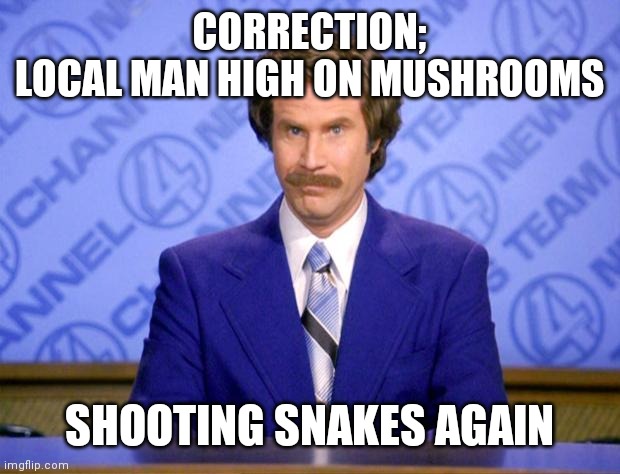 This just in  | CORRECTION;
LOCAL MAN HIGH ON MUSHROOMS SHOOTING SNAKES AGAIN | image tagged in this just in | made w/ Imgflip meme maker