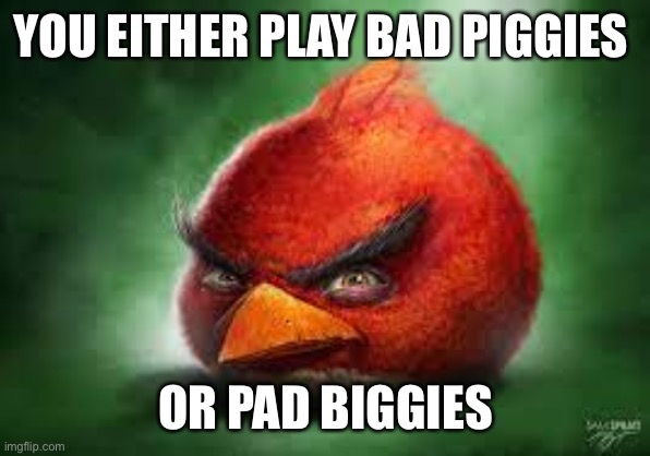 Choose one | YOU EITHER PLAY BAD PIGGIES; OR PAD BIGGIES | image tagged in realistic red angry birds,angry birds,angry birds pig,memes,dank memes,angry birds bomb | made w/ Imgflip meme maker