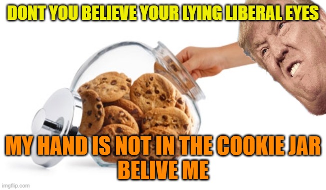 Cookie jar | DONT YOU BELIEVE YOUR LYING LIBERAL EYES MY HAND IS NOT IN THE COOKIE JAR
BELIVE ME | image tagged in cookie jar | made w/ Imgflip meme maker