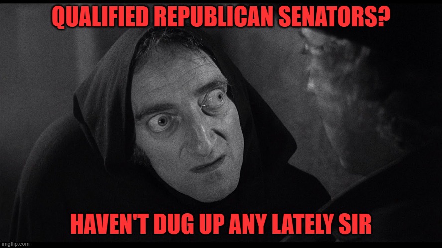 Republican boneyard | QUALIFIED REPUBLICAN SENATORS? HAVEN'T DUG UP ANY LATELY SIR | image tagged in donald trump,political meme,maga,republicans,stupid | made w/ Imgflip meme maker