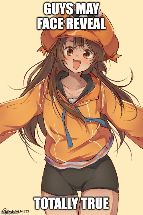 GUYS MAY FACE REVEAL; TOTALLY TRUE | made w/ Imgflip meme maker