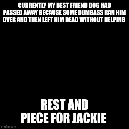 (My friend feels depressed about his dog Jackie death and that piece of shit driver)) | CURRENTLY MY BEST FRIEND DOG HAD PASSED AWAY BECAUSE SOME DUMBASS RAN HIM OVER AND THEN LEFT HIM DEAD WITHOUT HELPING; REST AND PIECE FOR JACKIE | image tagged in blank transparent square | made w/ Imgflip meme maker