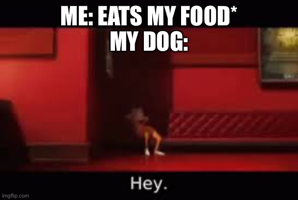 victor hey | ME: EATS MY FOOD*
MY DOG: | image tagged in victor hey,dogs | made w/ Imgflip meme maker