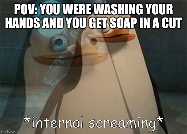 Private Internal Screaming | POV: YOU WERE WASHING YOUR HANDS AND YOU GET SOAP IN A CUT | image tagged in private internal screaming,washing hands,penguins of madagascar | made w/ Imgflip meme maker