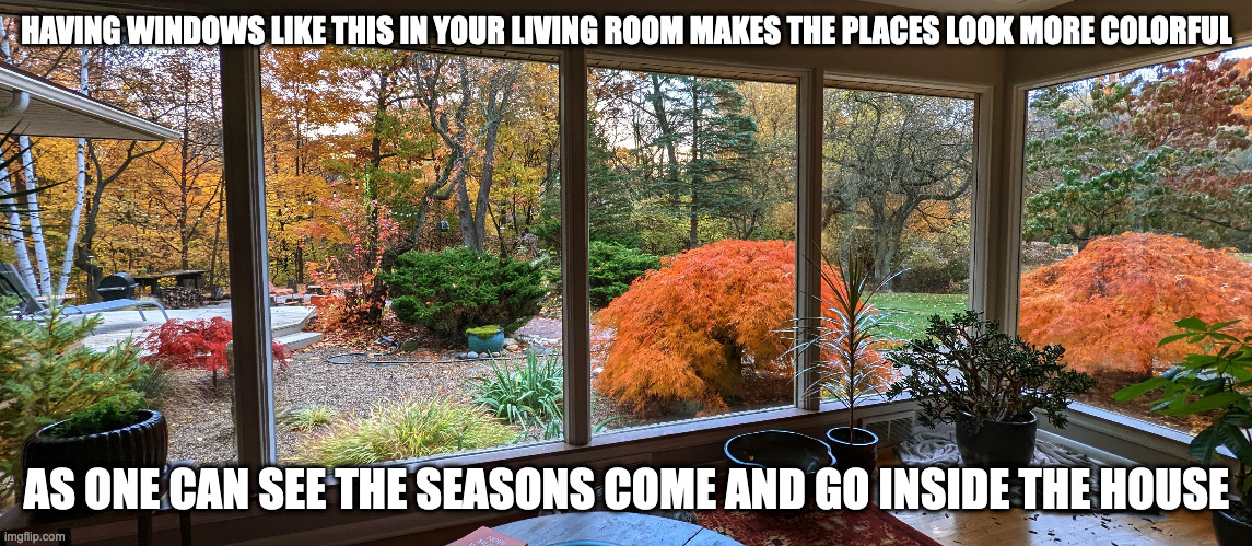 Autumn Scene in the Living Room | HAVING WINDOWS LIKE THIS IN YOUR LIVING ROOM MAKES THE PLACES LOOK MORE COLORFUL; AS ONE CAN SEE THE SEASONS COME AND GO INSIDE THE HOUSE | image tagged in autumn,memes,living room | made w/ Imgflip meme maker