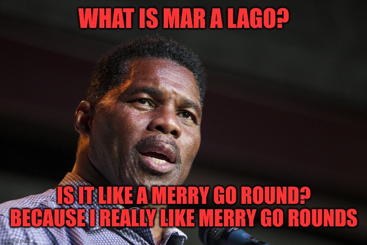 Herschel Walker | WHAT IS MAR A LAGO? IS IT LIKE A MERRY GO ROUND? BECAUSE I REALLY LIKE MERRY GO ROUNDS | image tagged in herschel walker | made w/ Imgflip meme maker