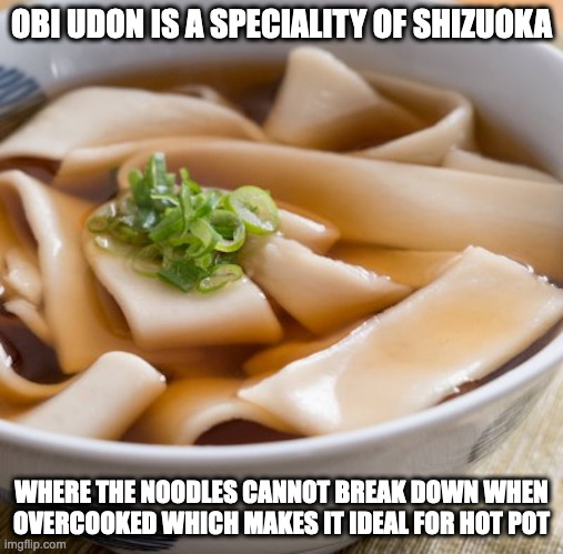 Obi Udon | OBI UDON IS A SPECIALITY OF SHIZUOKA; WHERE THE NOODLES CANNOT BREAK DOWN WHEN OVERCOOKED WHICH MAKES IT IDEAL FOR HOT POT | image tagged in noodles,food,memes | made w/ Imgflip meme maker