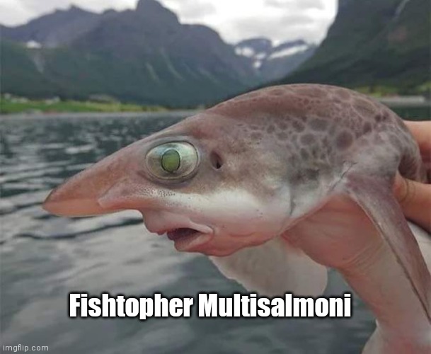 Woke up this morning, made myself a meme |  Fishtopher Multisalmoni | image tagged in funny | made w/ Imgflip meme maker