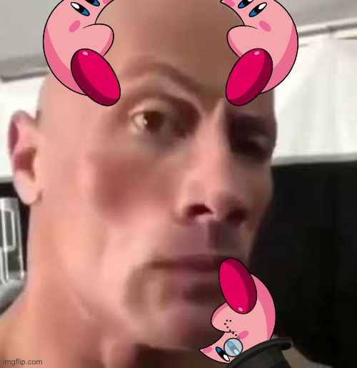 The Rock Eyebrows | image tagged in the rock eyebrows | made w/ Imgflip meme maker