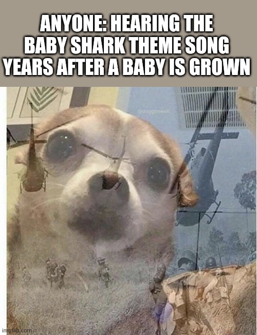 PTSD Chihuahua | ANYONE: HEARING THE BABY SHARK THEME SONG YEARS AFTER A BABY IS GROWN | image tagged in ptsd chihuahua | made w/ Imgflip meme maker