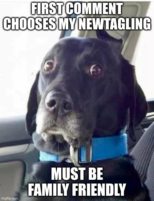 Worried Woofer | FIRST COMMENT CHOOSES MY NEWTAGLING; MUST BE FAMILY FRIENDLY | image tagged in bad pun dog,buff doge vs cheems,doge,dogs,dog,doggo | made w/ Imgflip meme maker