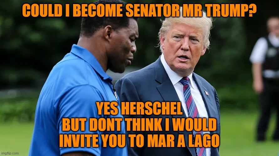 Herschel Walker Trump | COULD I BECOME SENATOR MR TRUMP? YES HERSCHEL
BUT DONT THINK I WOULD INVITE YOU TO MAR A LAGO | image tagged in herschel walker trump | made w/ Imgflip meme maker