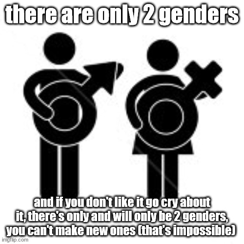 10 upvotes and i post this lgbtq (their gonna lose their shit over this) | there are only 2 genders; and if you don't like it go cry about it, there's only and will only be 2 genders, you can't make new ones (that's impossible) | image tagged in there is only two | made w/ Imgflip meme maker