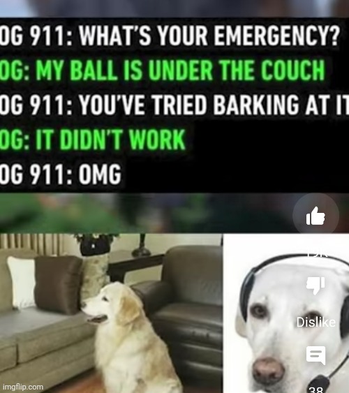 Lol | image tagged in memes,funny dogs,funny dog memes | made w/ Imgflip meme maker