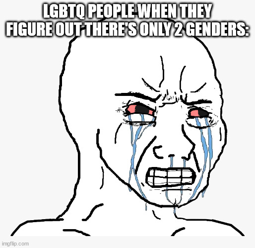 Crying mad troll | LGBTQ PEOPLE WHEN THEY FIGURE OUT THERE'S ONLY 2 GENDERS: | image tagged in crying mad troll | made w/ Imgflip meme maker