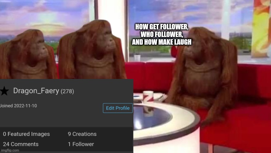 I noticed I have a single follower now... | HOW GET FOLLOWER, WHO FOLLOWER, AND HOW MAKE LAUGH | image tagged in memes,where monkey | made w/ Imgflip meme maker