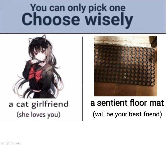 A tough decision... |  a sentient floor mat; (will be your best friend) | image tagged in choose wisely,fun,choose | made w/ Imgflip meme maker
