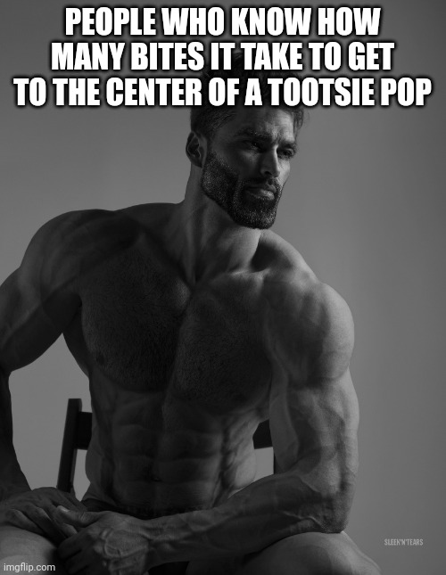 Chad's read titles too | PEOPLE WHO KNOW HOW MANY BITES IT TAKE TO GET TO THE CENTER OF A TOOTSIE POP | image tagged in giga chad | made w/ Imgflip meme maker